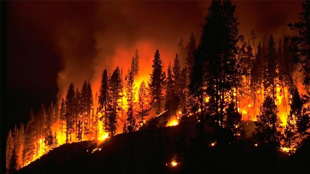 消防知識(shí) 丨 5種火災(zāi)不能用水撲救，你知道嗎？