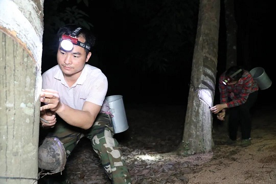 關注燃氣安全，共筑平安家園——依愛消防黨總支開展“119消防安全日”主題活動